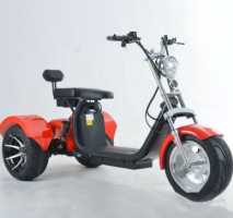 Трицикл Трицикл CityCoco 2000W 60V20A